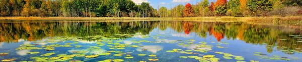 عکس شهرهای زیبای ایران
