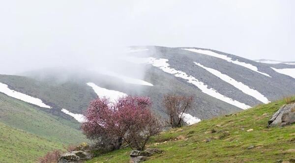 عکس هایی از شهر نقده