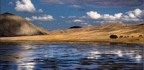 عکس هایی از شهر نقده