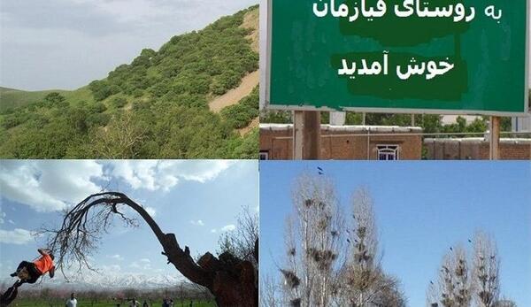 عکس شهر نهاوند همدان