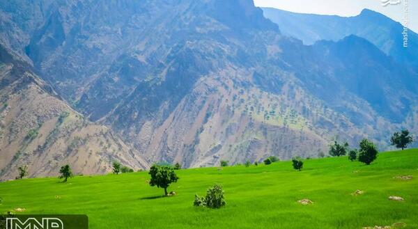 عکس از شهر لردگان