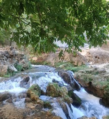 عکس از شهر لردگان