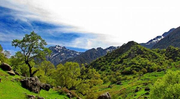 عکس هایی از شهر گچساران