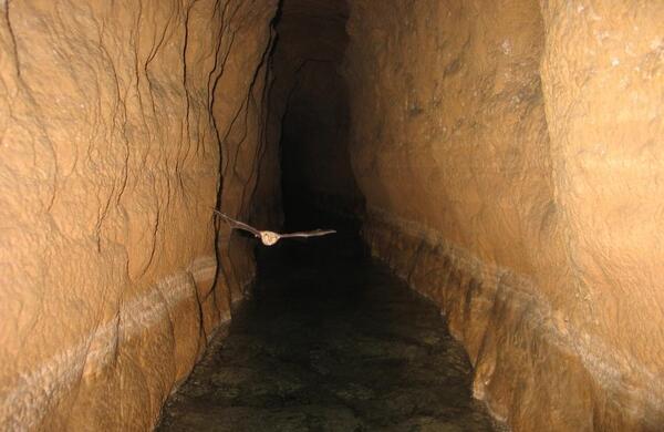 عکس هایی از شهر گناباد