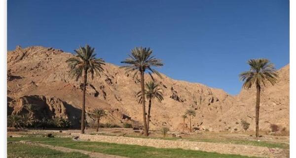 عکس هایی از شهر طبس