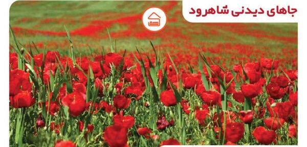 عکس شهر بهشت شاهرود