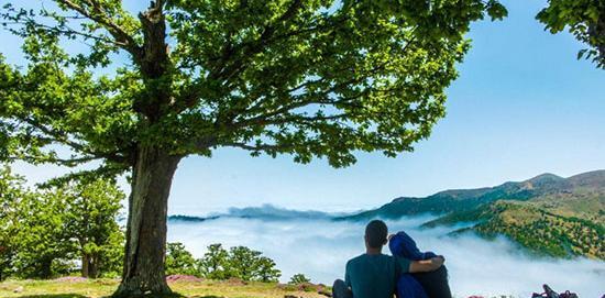 عکس هایی از شهر شاهرود