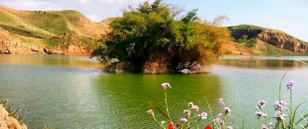 عکس از شهر دهلران