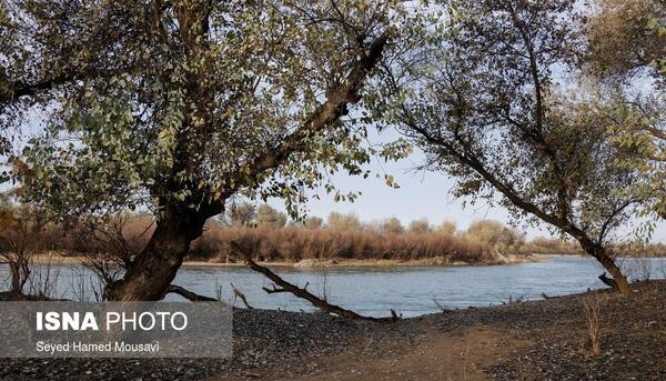 عکس شهر شوش خوزستان