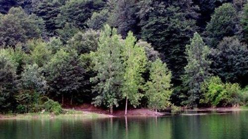 عکس های شهر چمستان