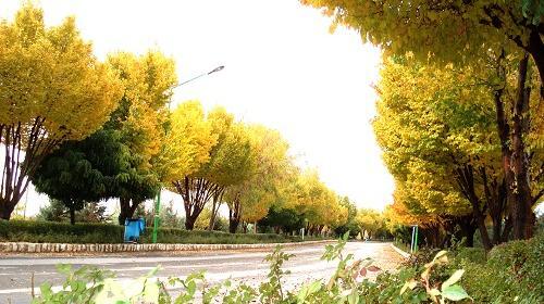 عکس های شهر چادگان