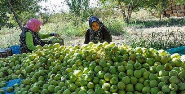 عکس از شهر جاجرم