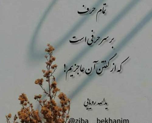 عکس شهریار پیروزفر