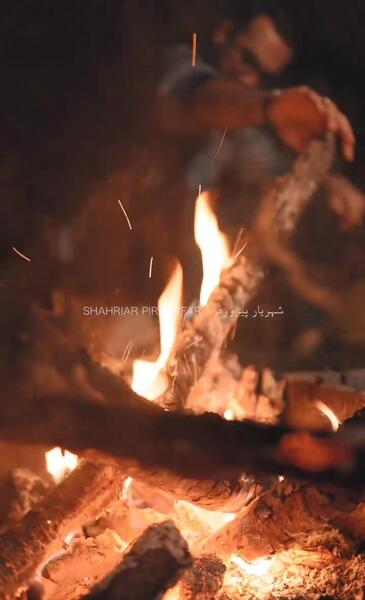 عکس شهریار پیروزفر