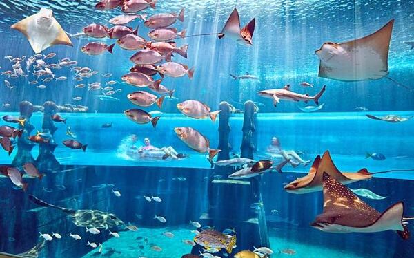 عکس قیمت هتل زیر آب در دبی
