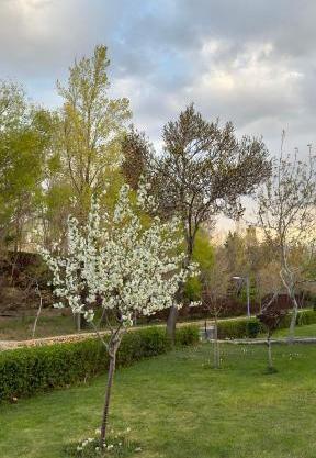 عکس هتل چادگان بانک ملی