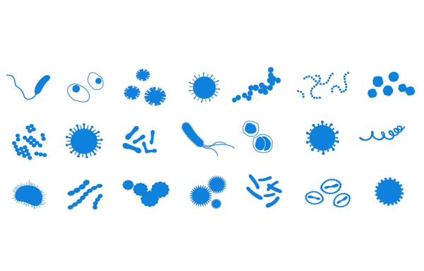 عکس ویروس ها زیر میکروسکوپ