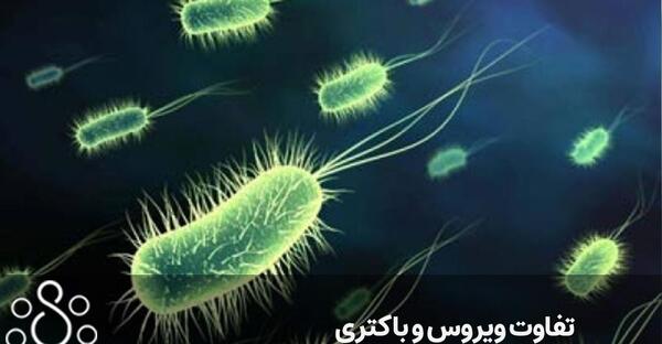 عکس ویروس ها وباکتری ها