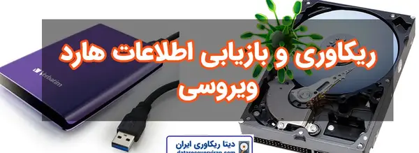 برگرداندن عکس های ویروسی شده