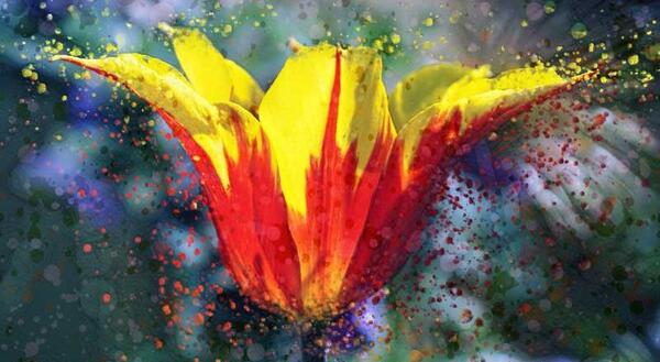 عکس نقاشی هنری زیبا
