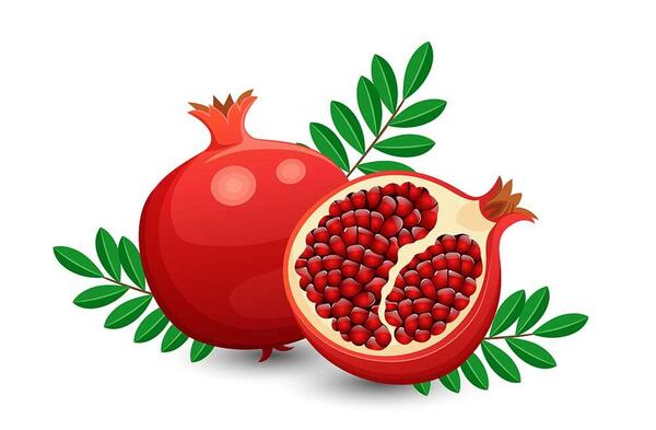 عکس نقاشی هندوانه و انار برای شب یلدا