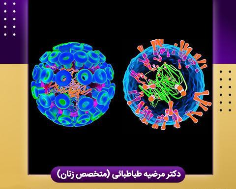 عکس ویروس تبخال تناسلی