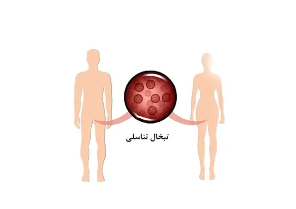 عکس ویروس تبخال تناسلی