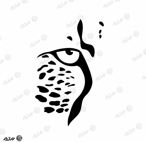 عکس نقاشی یوزپلنگ ایرانی