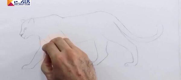 عکس نقاشی یوزپلنگ سخت