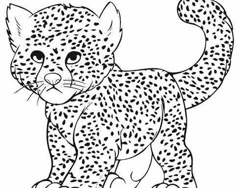 عکس نقاشی یوزپلنگ ساده
