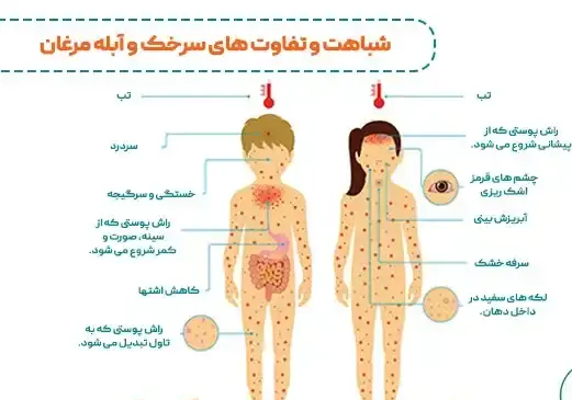 عکس ویروس آبله مرغان