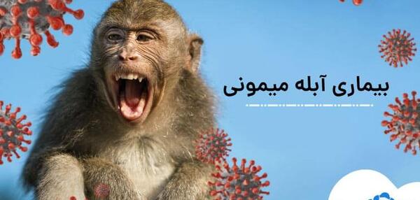 عکس ویروس ابله میمون