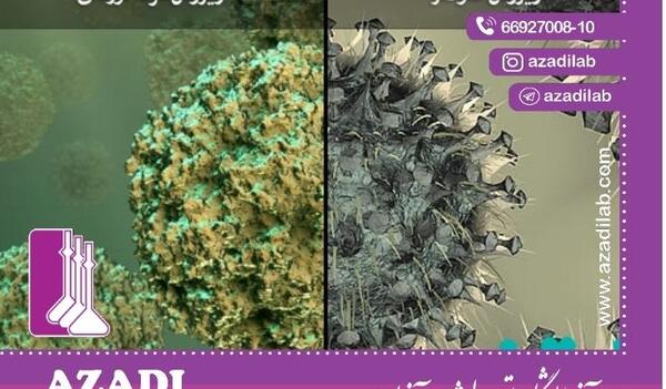 عکس از ویروس آنفولانزا