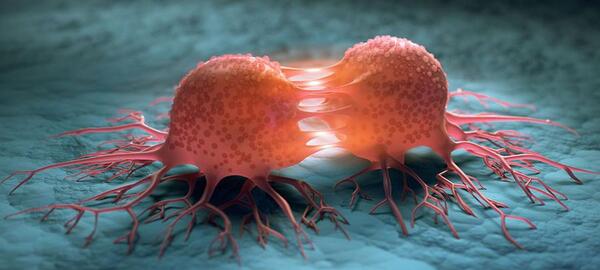 عکس های ویروس hpv