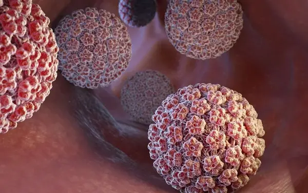 عکس های ویروس hpv