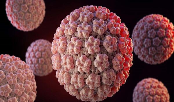 عکس های ویروس hpv
