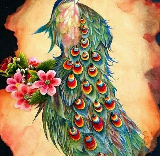 عکس برای نقاشی و طراحی