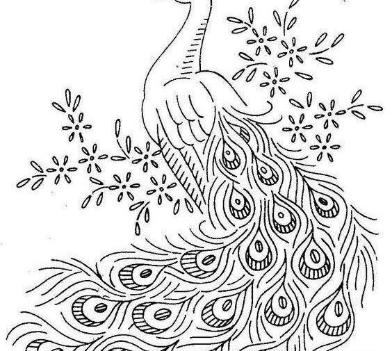 عکس برای نقاشی و طراحی
