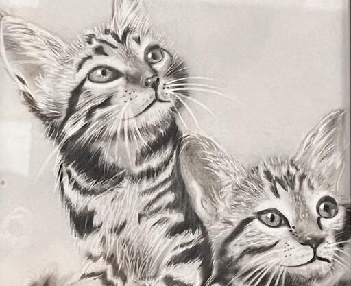 عکس نقاشی گربه سیاه قلم