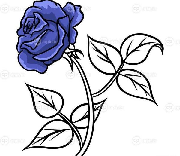 عکس نقاشی گل رز آبی