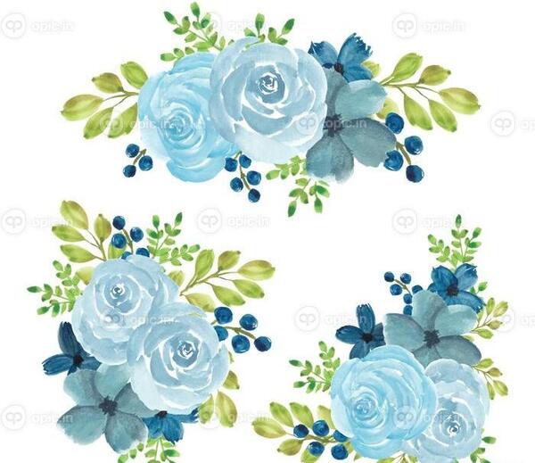عکس نقاشی گل رز آبی