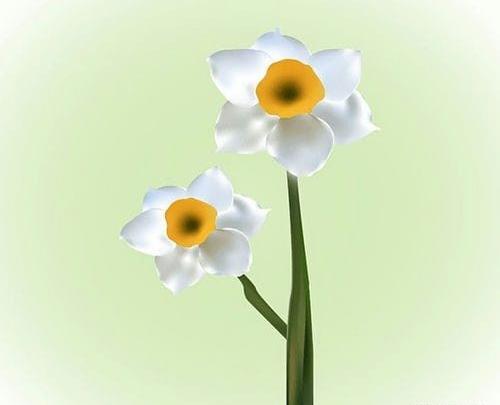 عکس نقاشی گل رز بچه گانه