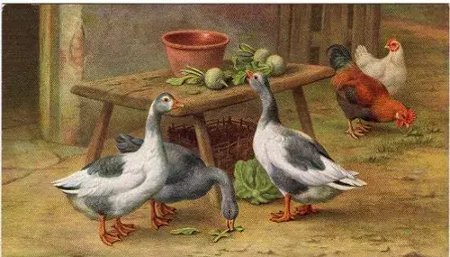 عکس نقاشی غاز کودکانه
