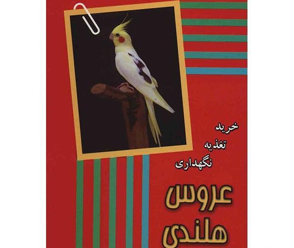 عکس نقاشی سیاه قلم عروس هلندی