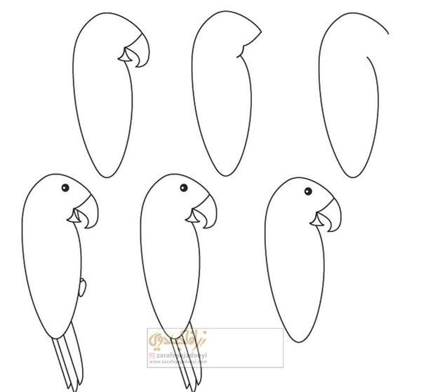 عکس نقاشی طوطی بزرگ
