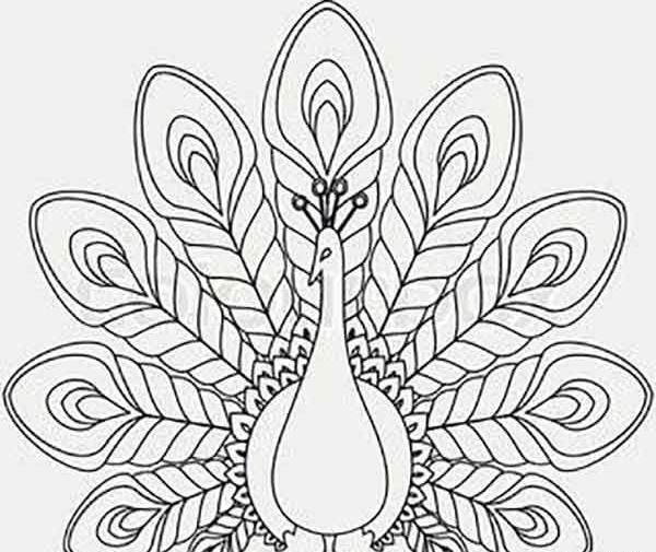 عکس نقاشی طاووس آسان