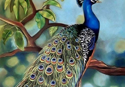 عکس نقاشی طاووس آسان
