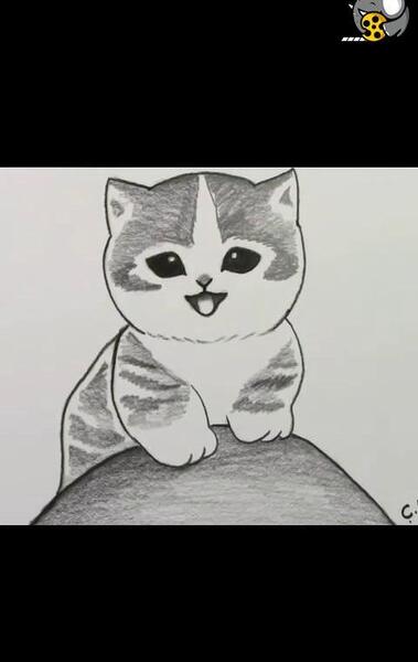 عکس نقاشی طراحی گربه