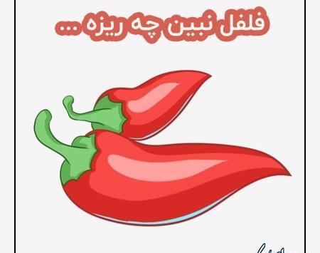 عکس نقاشی ضرب المثل فلفل نبین چه ریزه بشکن ببین چه تیزه