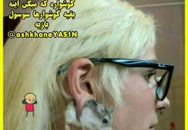 عکس نقاشی ضرب المثل دیوار موش داره موشم گوش داره